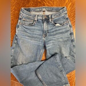 American Eagle Outfitters 90s Jeans- 2 Short